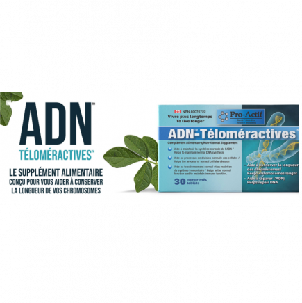 adn-telomere (1)